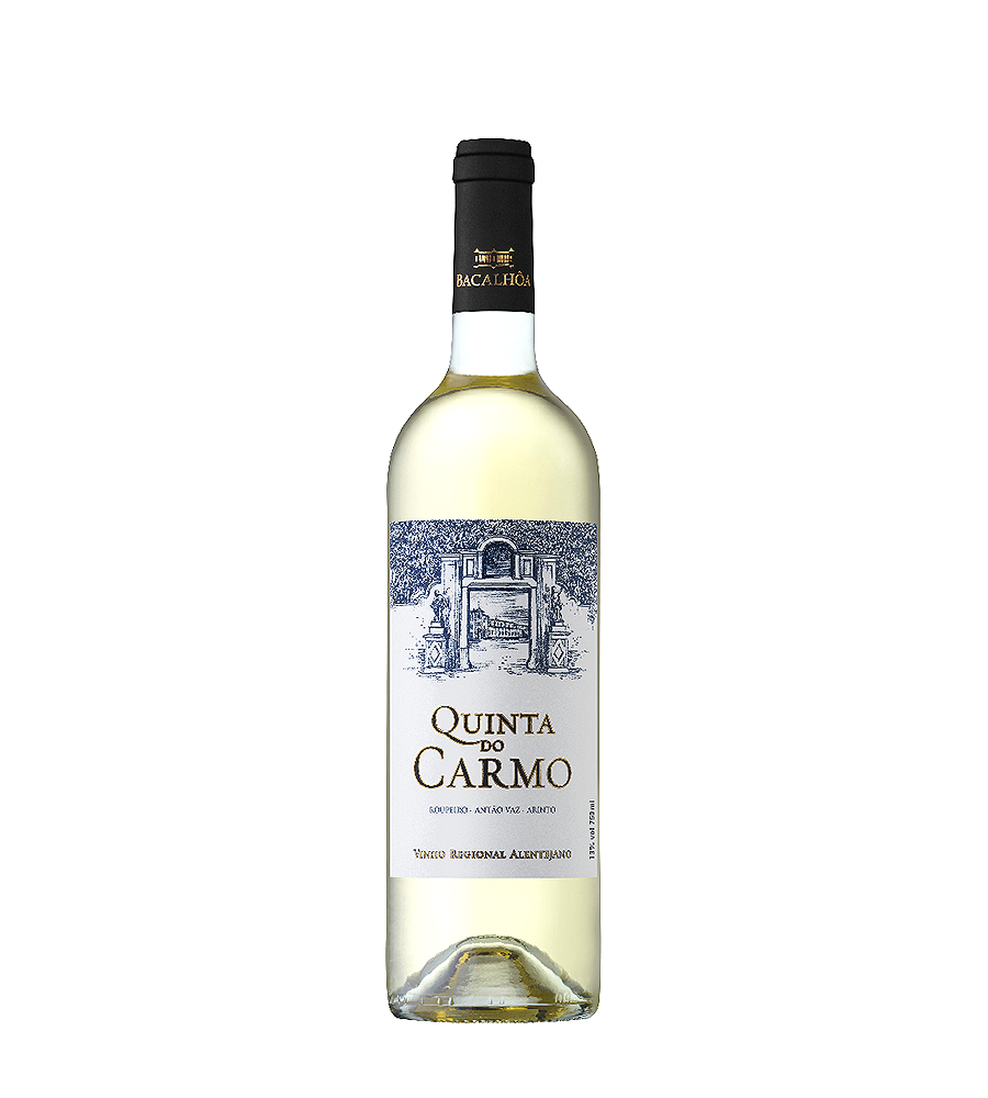 Vinho Branco Quinta do Carmo 2022, 75cl – Alentejo Vinha
