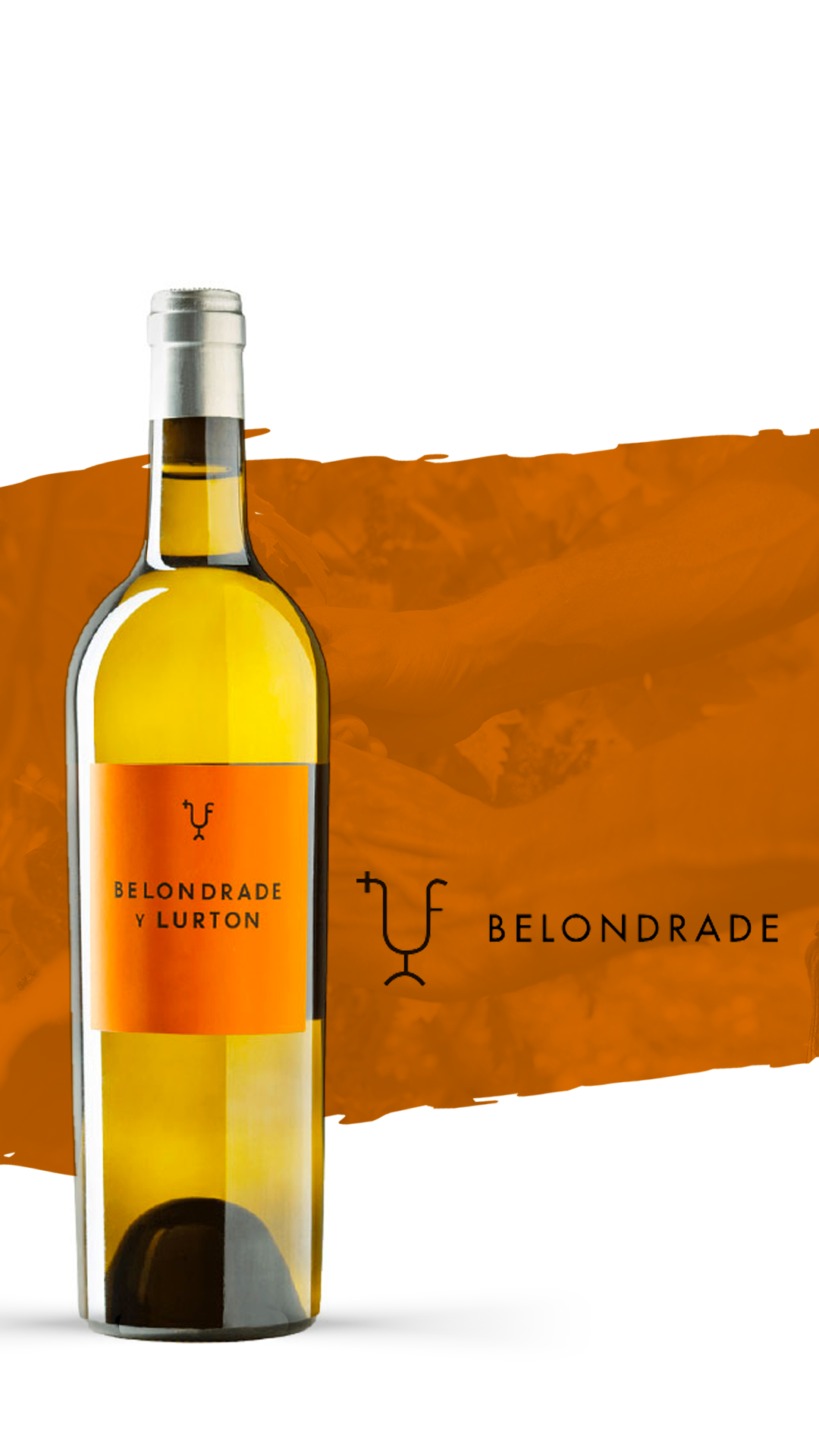 Ícone do mundo do vinho espanhol, Belondrade y Lurton chega à Vinha