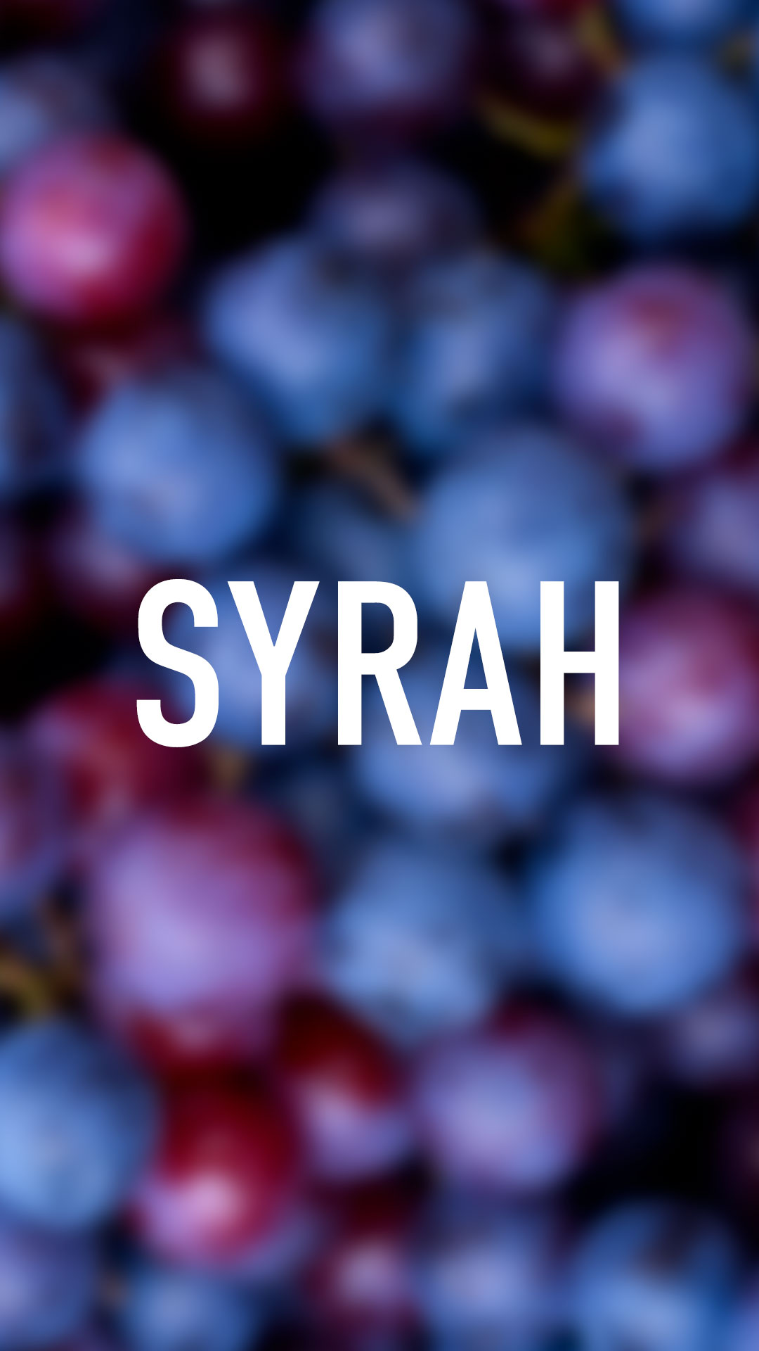 Dia Internacional da Syrah: A Casta da Intensidade e Elegância